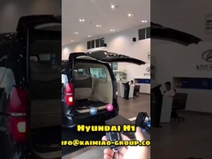 Hyundai H1 Automatic Tailgate Lift with Double Pole in the Global Automotive Aftermarket
